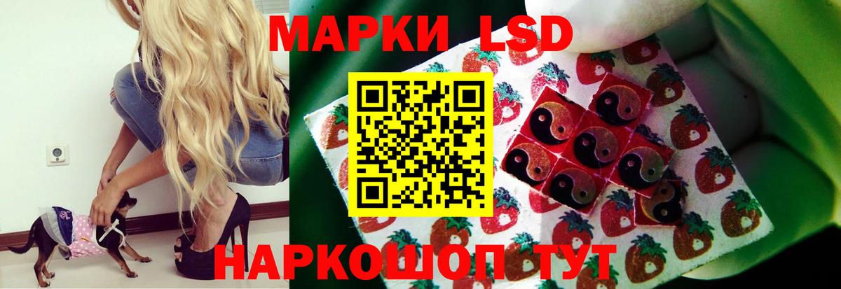 LSD-25 экстази  ЛСД экстази кислота  Вход с VPN  Чебоксары  LSD-25 экстази кислота 